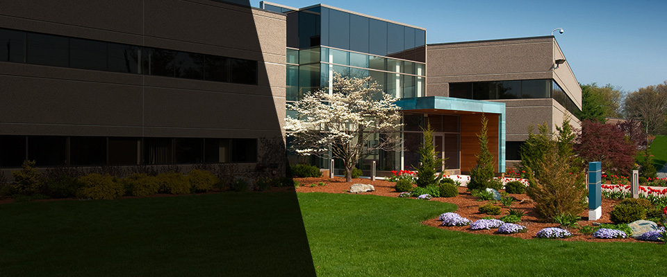 Demorest Landscapers